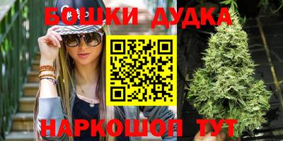 индика Тула