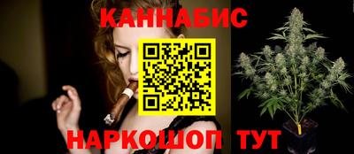 индика Тула