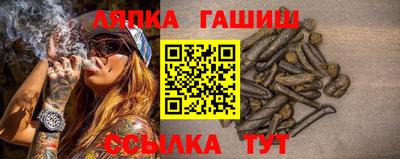 индика Тула