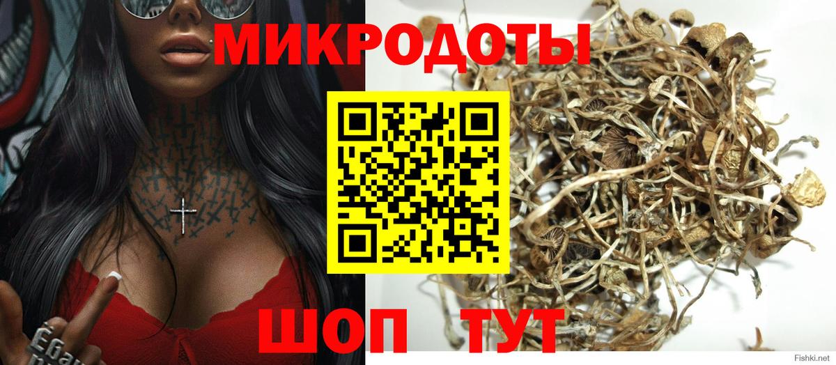Москва  Псилоцибиновые грибы Psilocybine cubensis  Вход с VPN  купить  цена  Галлюциногенные грибы Psilocybine cubensis 